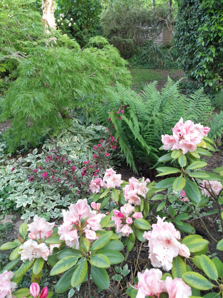 jardin/jardin_02.jpg