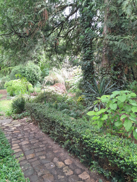 jardin/jardin_03.jpg