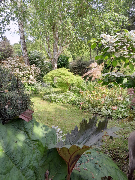 jardin/jardin_04.jpg