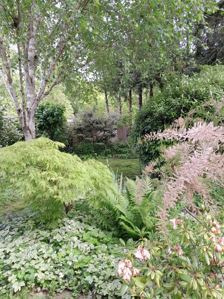 jardin/jardin_05.jpg