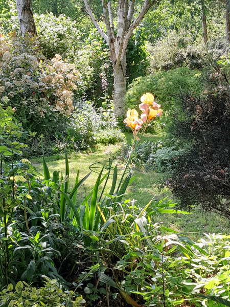 jardin/jardin_08.jpg