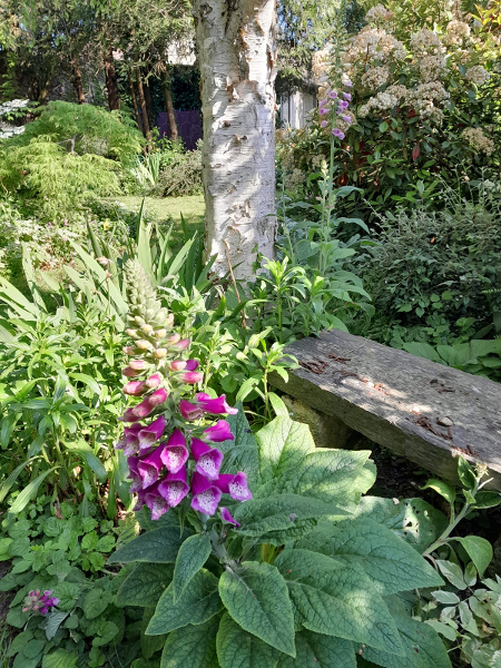 jardin/jardin_09.jpg