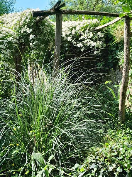 jardin/jardin_10.jpg
