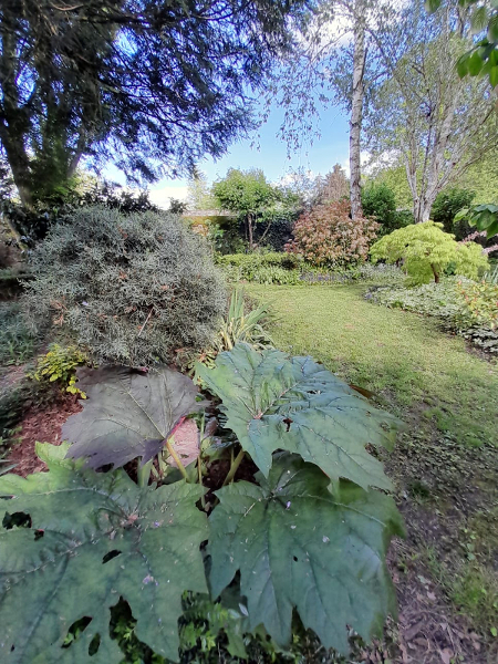 jardin/jardin_11.jpg