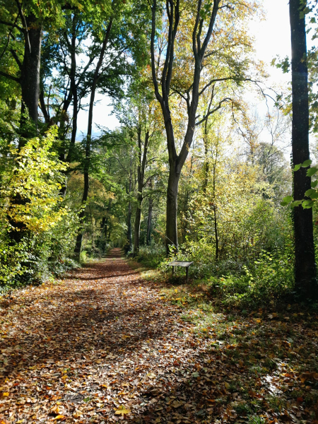 photographie/photographie_04.jpg